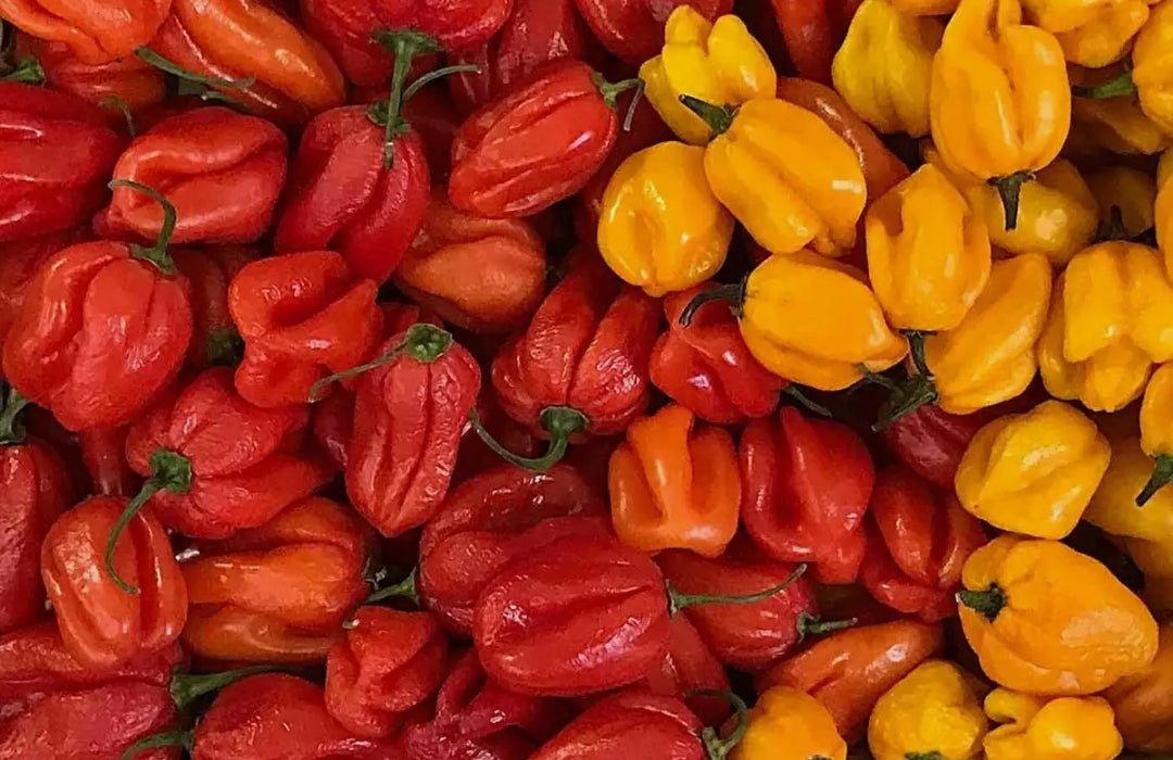 Fresh hot pepper 1kg 9.99€