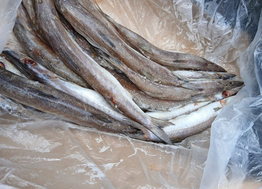 Cartoon raw kinny fish 10kg