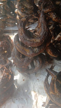 Dry Kinney fish per stuk