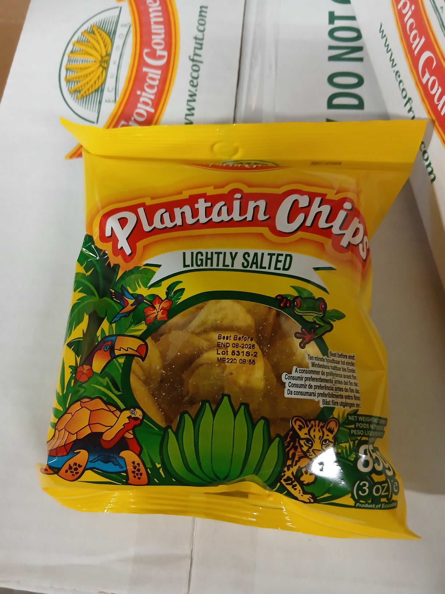 Plantain Chips