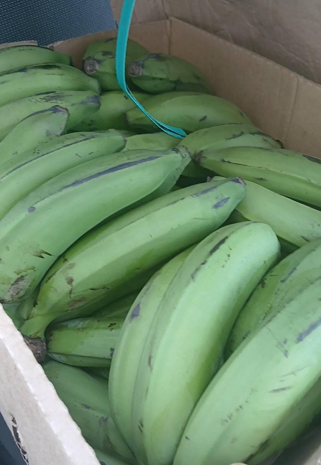 Raw Banana Box 10kg