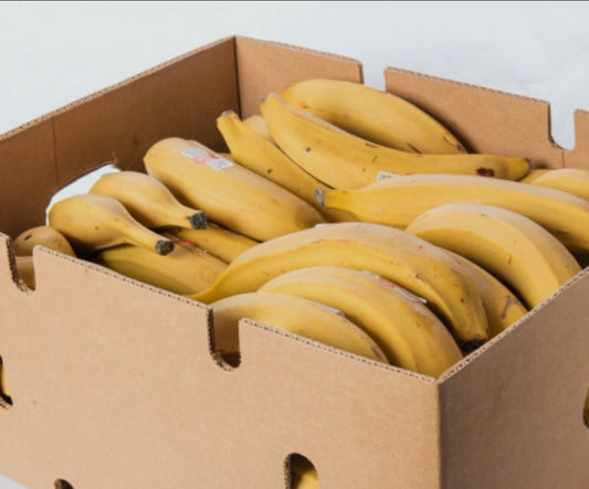 Ripe plantine cartoon 10kg