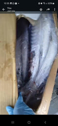 Raw kuter 1kg 14.99